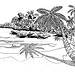 cayo_levantado1