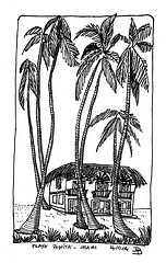 casa_bonita, Las Terrenas, Rep. Dominicaine