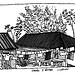 casa Limon, Rep. Dominicaine