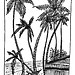 pescadores, Las Terrenas, Rep. Dominicaine
